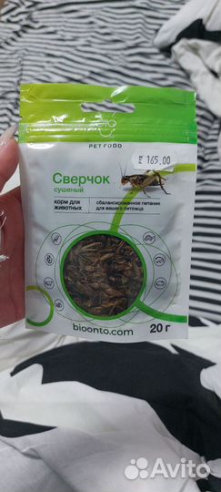 Сверчки кормовые