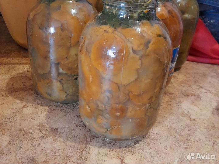 Продам грибы