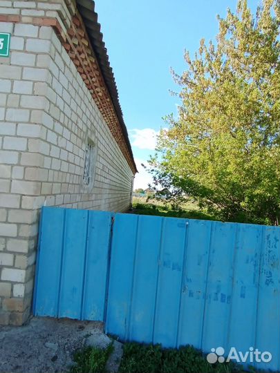 Продуктовый магазин