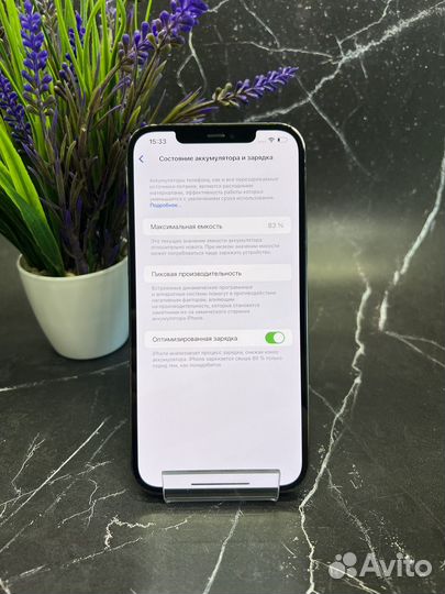iPhone 12 Pro Max, 256 ГБ
