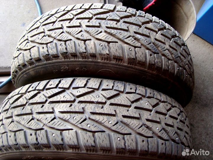 Tigar Ice 185/65 R15
