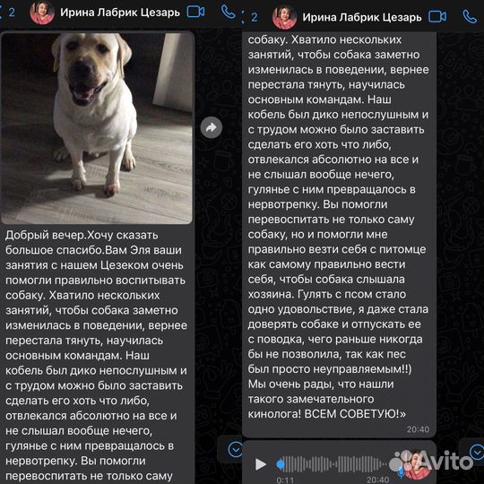 Услуги кинолога. Дрессировка, передержка