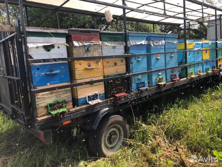 Прицеп легковой