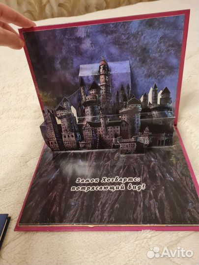 Гарри Поттер,Волшебные миры Гарри Поттера