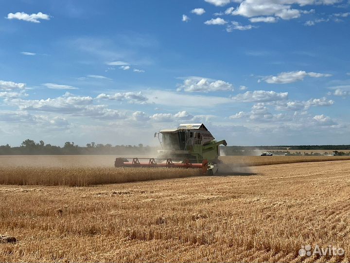 Механизатор Комбайнер на Claas mega 370