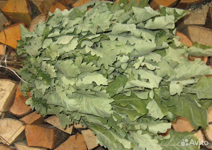 Банные веники (береза, дуб, пихта, можжевеловые)