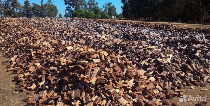 Дрова березовые