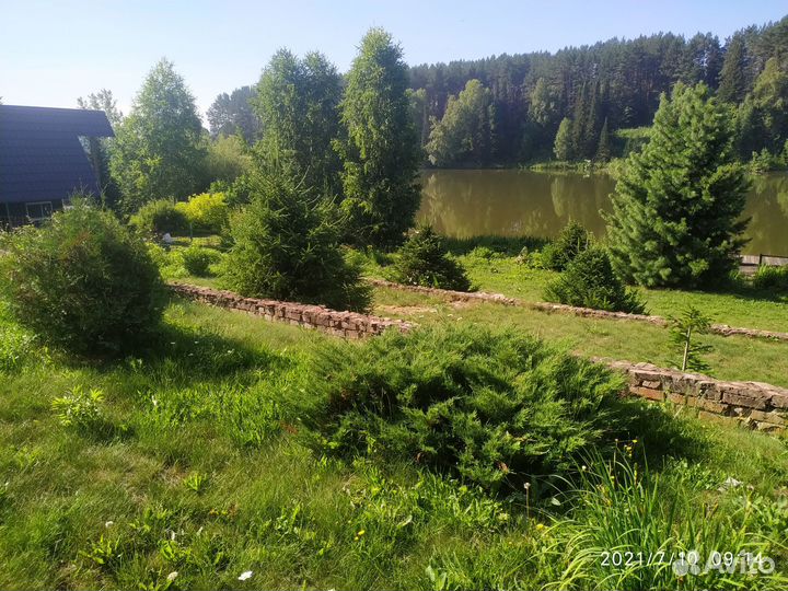 Сдам в аренду беседку на берегу пруда с красивым