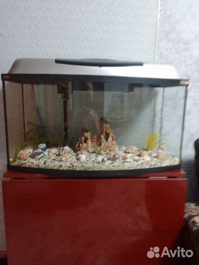 Аквариум б/у на 100-120 литров