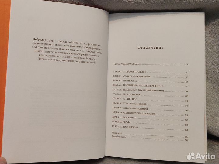 Секрет лабрадора (Бен Фогл)