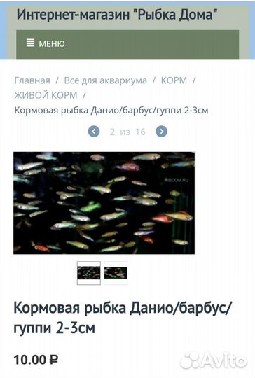 Данио кормовые