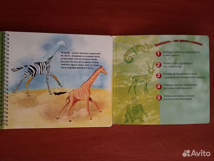 Детские развивающие книги