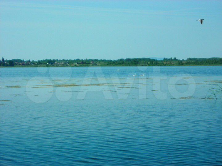 Участок 10 сот. (СНТ, ДНП)