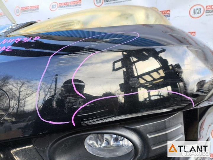 Nose cut honda FIT shuttle