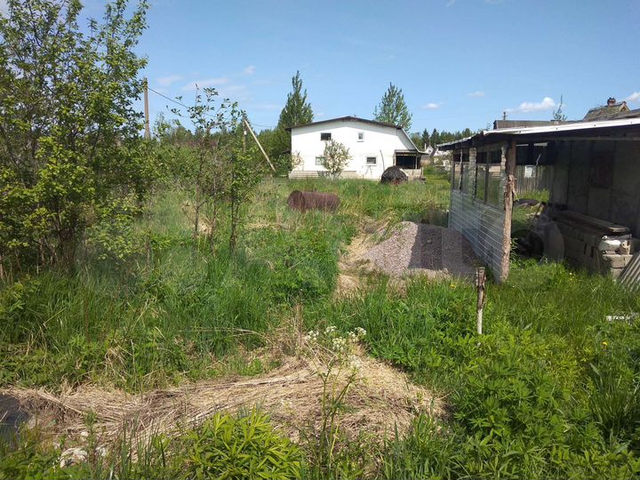 Участок 6 сот. (СНТ, ДНП)
