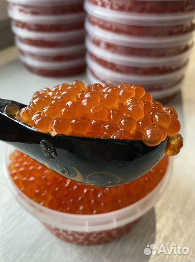 Икра красная кеты 2023