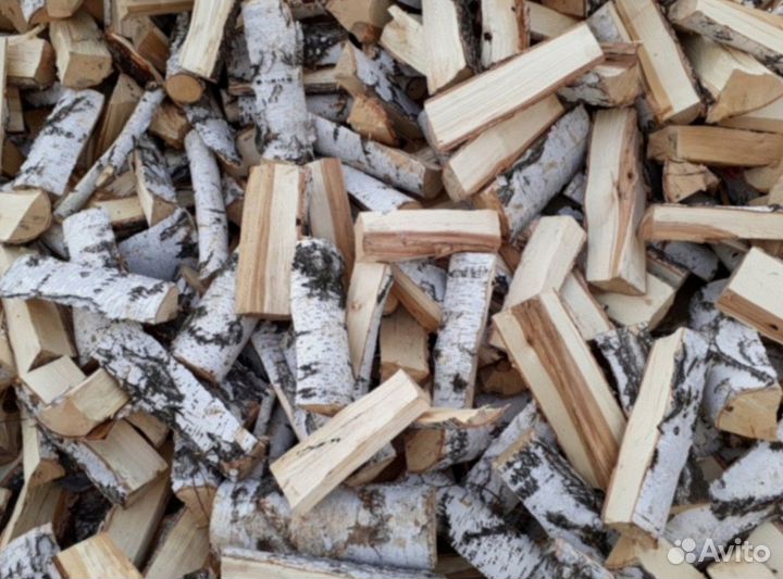 Дрова береза