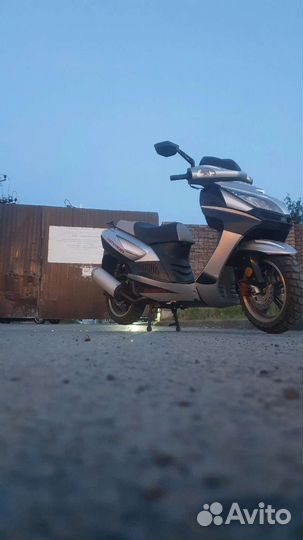 Ирбис нирвана 150