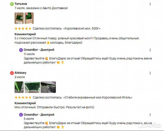Вечно зеленый мох для интерьерных работ