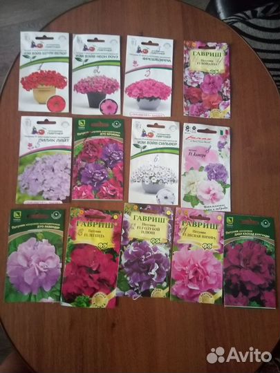 Рассада петунии