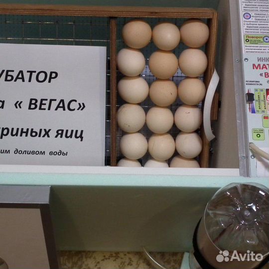 Инкубатор Блиц Матрица-Вегас до 90 яиц
