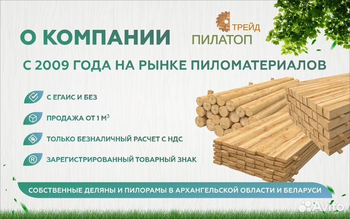 Доска дюймовка 25х150х6000х8-9-10 Хвоя