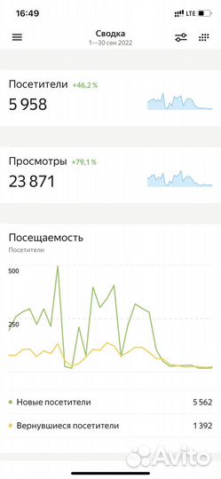 Готовый бизнес IT. Онлайн-магазин ушедших брендов