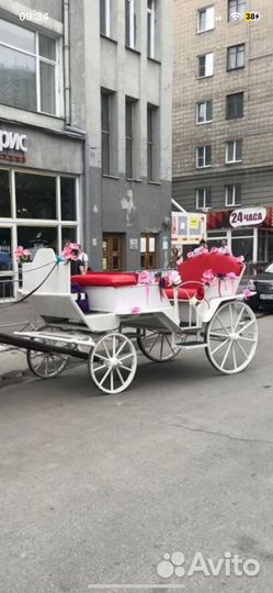 Карета для лошади