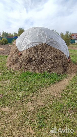 Продам сено
