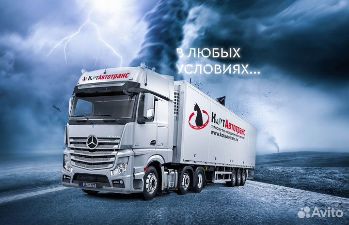 Водитель категия Е (рефрижератор)