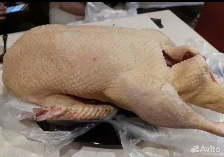 Гусь. Мясо гуся