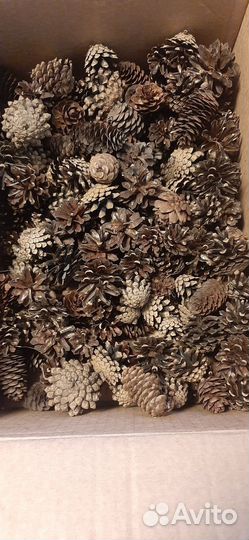 Шишки для поделок