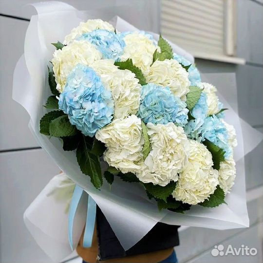 WOW Букеты из Гортензий. Доставка/Самовывоз