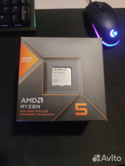 Amd ryzen 5 8600g