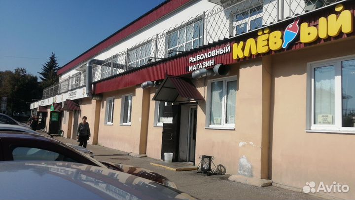 Живец пескарь