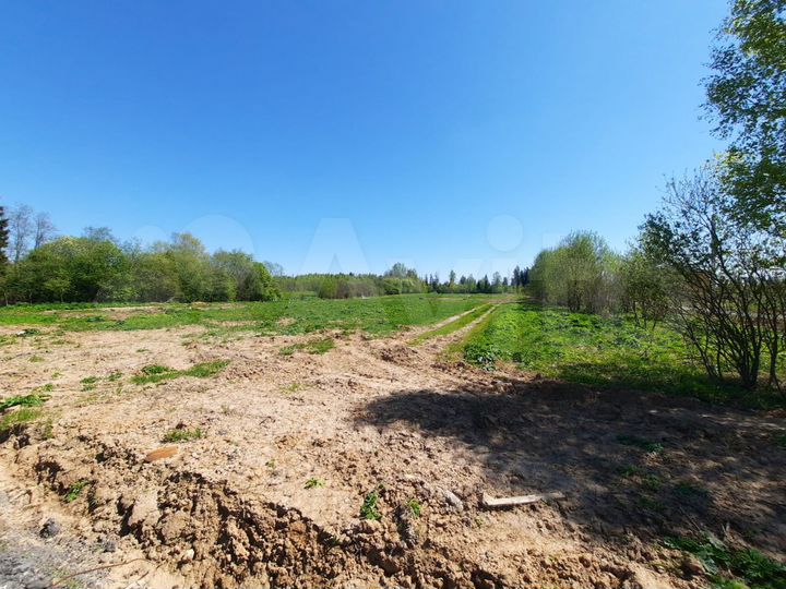 Участок 11,9 сот. (СНТ, ДНП)