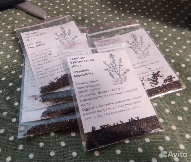 Семена лаванды