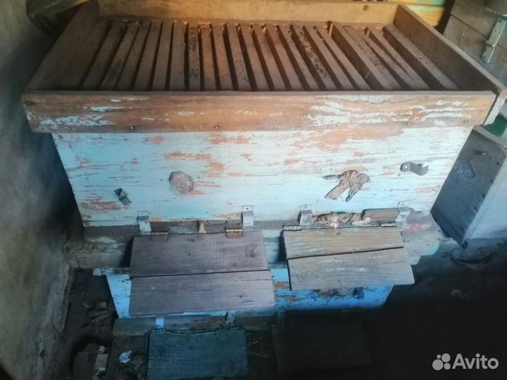 Ульи для пчел бу
