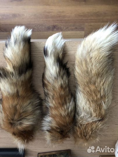 Лисий хвост