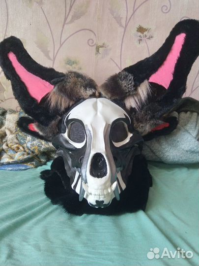 Скаллдог фурри фурсьют skulldog