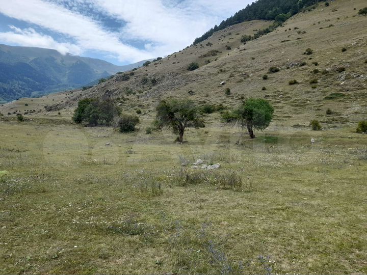 Участок 70 сот. (ИЖС)