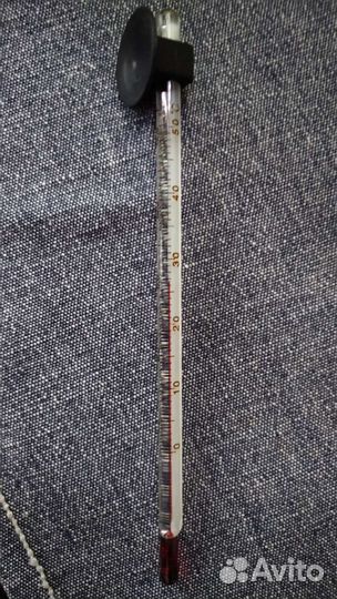 Термометр на присоске