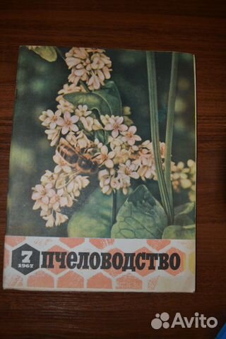 Журнал Пчеловодство №7 1967 г