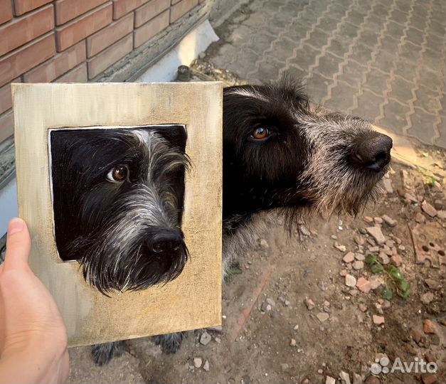 Картина маслом на заказ портрет кота или собаки