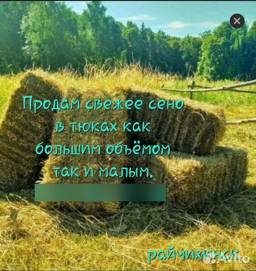 Сено в тюках