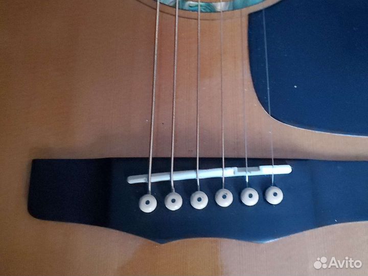 Акустическая Гитара массив Morris M LTD