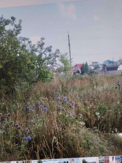 Участок 13,6 сот. (ИЖС)