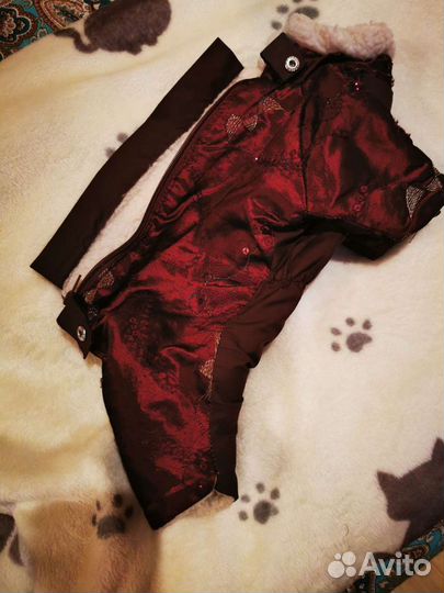 Одежда для маленьких собак бу