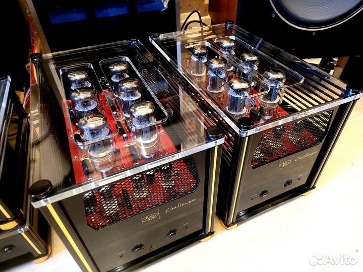 Walve audio моноблоки x2 ламповые