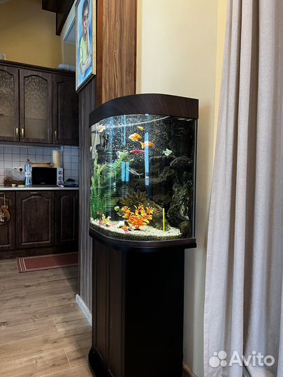 Аквариум с рыбками